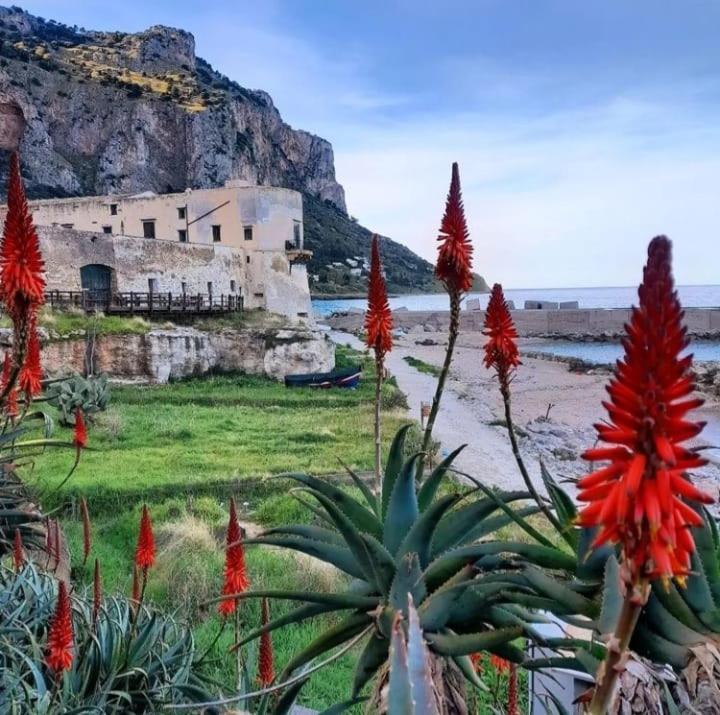 Bleu Bijou Apartment Palermo Exteriör bild